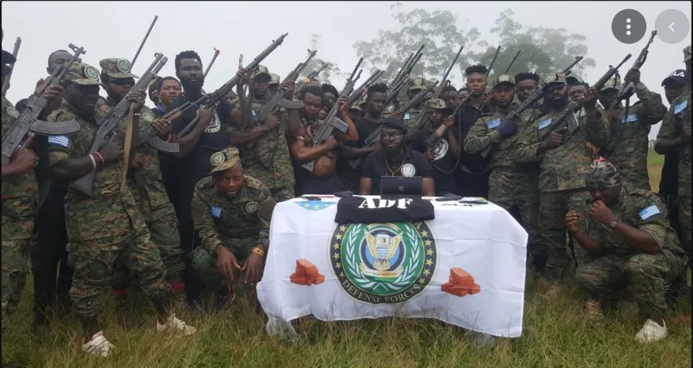 ambazonia defence Forces